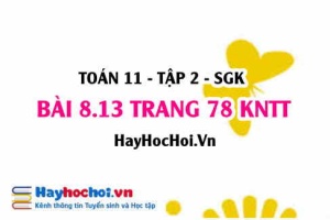 Bài 8.13 trang 78 Toán 11 tập 2 Kết nối tri thức